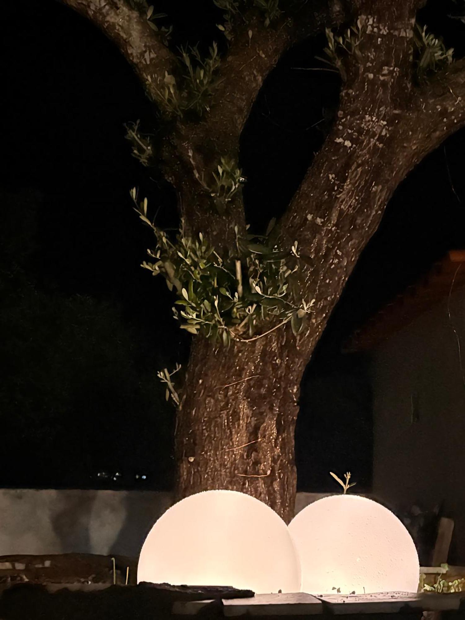 Casa Dos Avos Βίλα Santana de Cambas Εξωτερικό φωτογραφία
